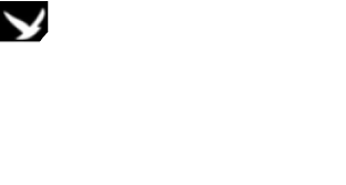 Sort Sol Coffee